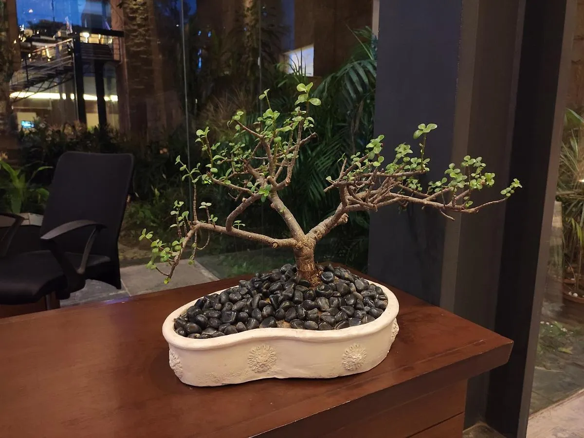 Taj Damdama Lake Resort & Spa, Gurugram Gurgaon